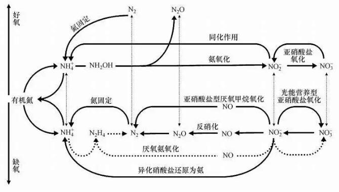 QQ截圖20181112094347.jpg